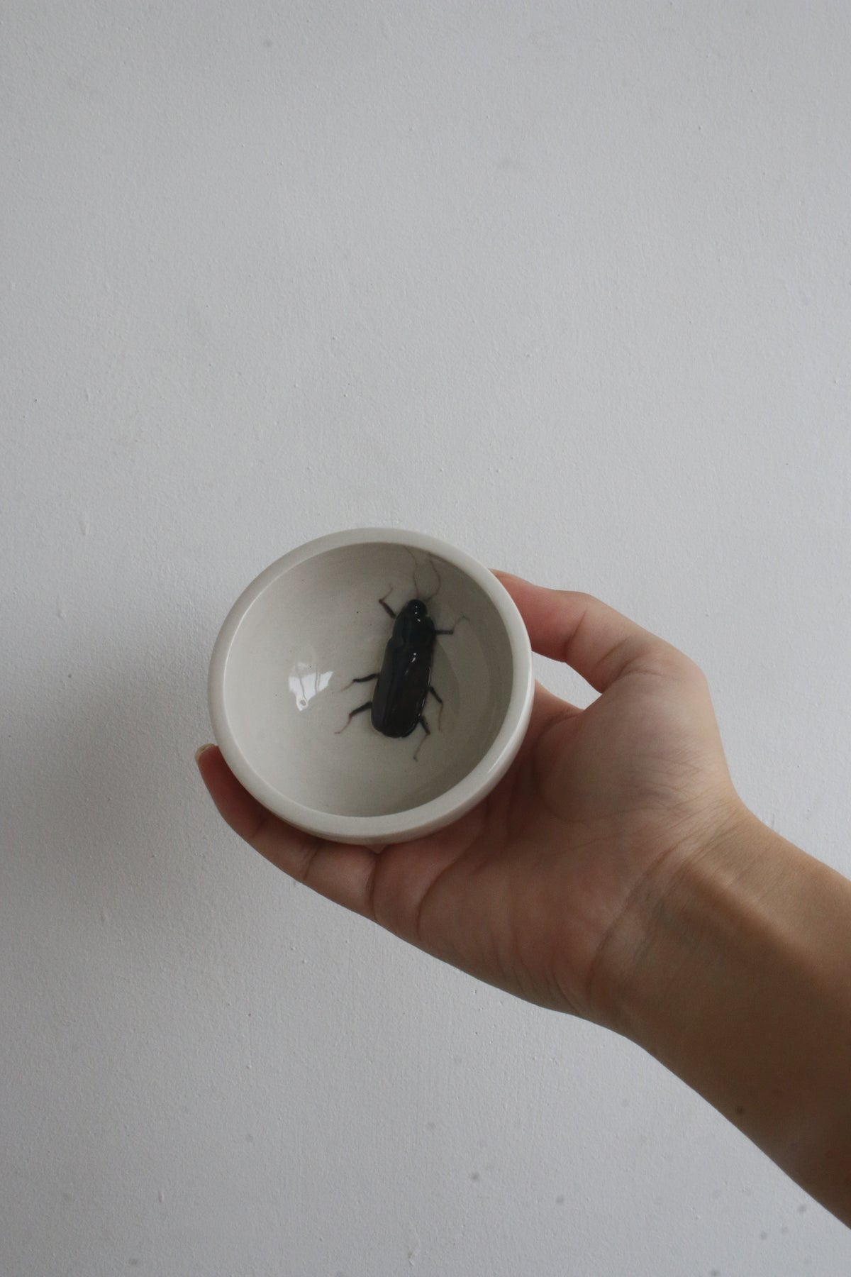 Handmade Ceramic Mug with a Raised 3D Cockroach
