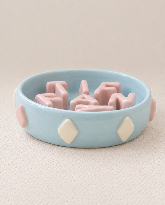 Custom Slow Feeder Dog Bowl with 3D Details